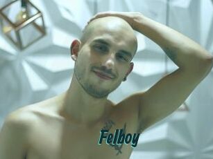 Felboy