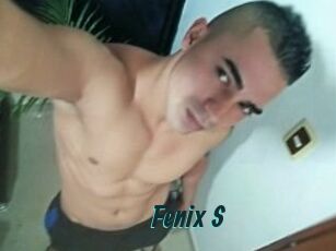 Fenix_S