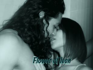 Flower_of_leon