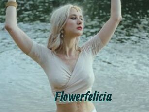 Flowerfelicia