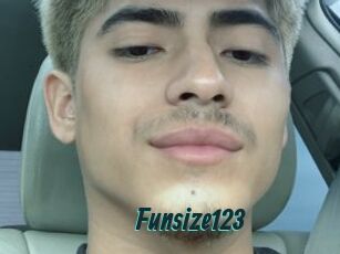 Funsize123