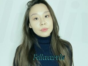 Felicecarvin