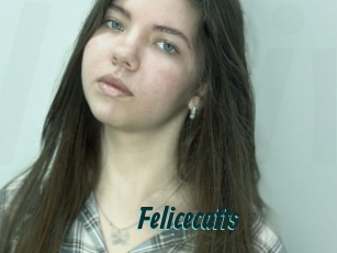 Felicecatts