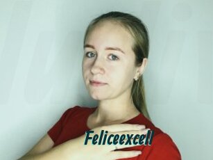 Feliceexcell