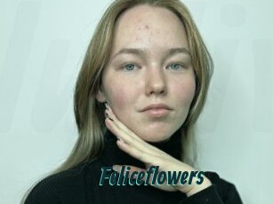 Feliceflowers