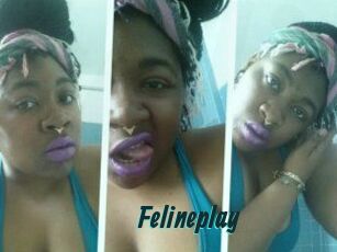 Felineplay