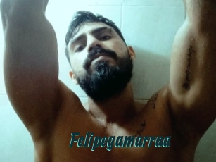 Felipegamarraa