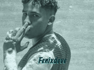 Fenixdeve