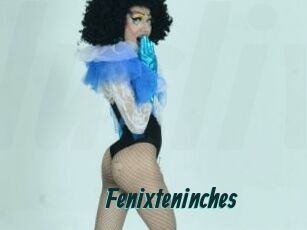 Fenixteninches