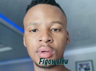 figowethu Lucy Live