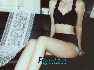 Fitgeek101