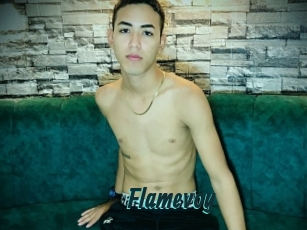 Flamevoy