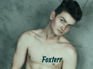 Foxterr
