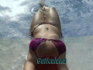 Gaticaluna