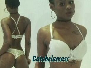 Gatubela_masc