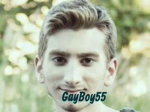 GayBoy55