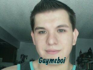 Gaymeboi