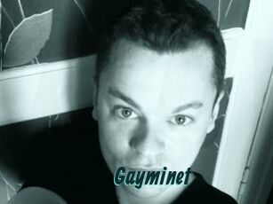 Gayminet