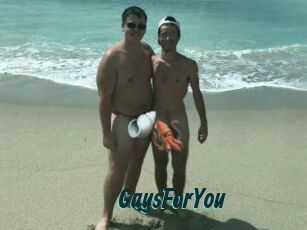 GaysForYou