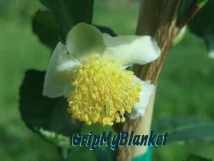 GripMyBlanket