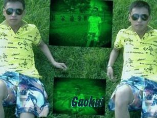 Gaokui