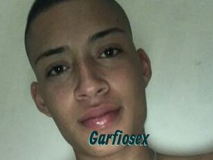 Garfiosex