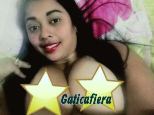 Gaticafiera