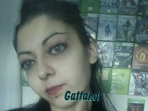 Gattahot