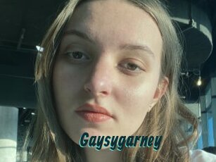 Gaysygarney
