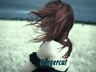 Gingercat
