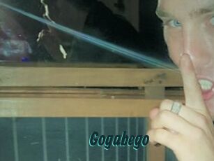 GogabeGo