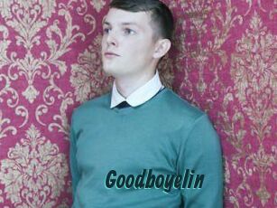Goodboyelin