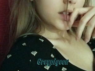 Greypigeon