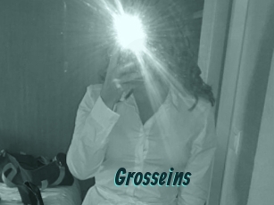 Grosseins
