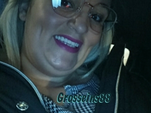 Grosseins88