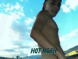 HOT_NOAH