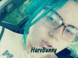 HareBunny
