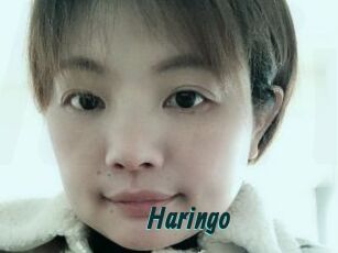 Haringo