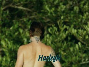 HarleyM