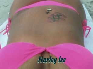 Harley_lee