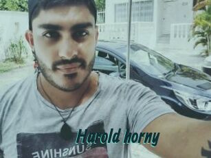 Harold_horny