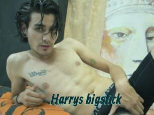 Harrys_bigstick Lucy Live