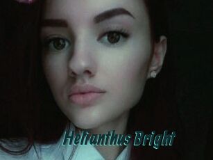 Helianthus_Bright