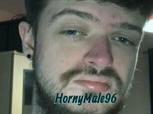 HornyMale96