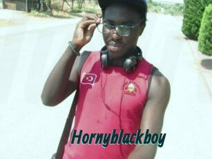 Hornyblackboy