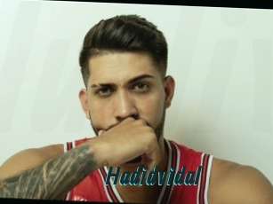 Hadidvidal