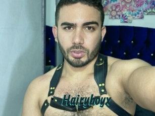 Hairyboyx