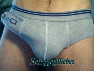 Hairygay9iches