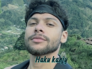 Haku_kanjy