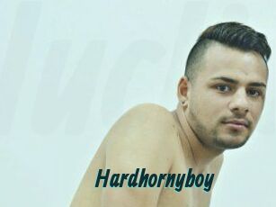 Hardhornyboy